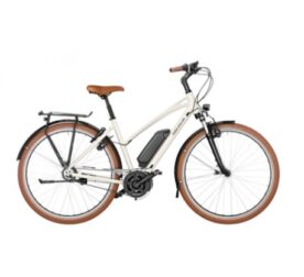 riese-muller-cruiser-2-vario.jpg