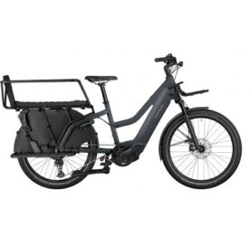 riese-muller-multicharger-mixte-gt-family.jpg