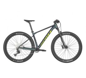 scott-scale-965-2023.jpg
