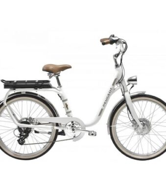 velo-electrique-peugeot-elc01-24-.jpg